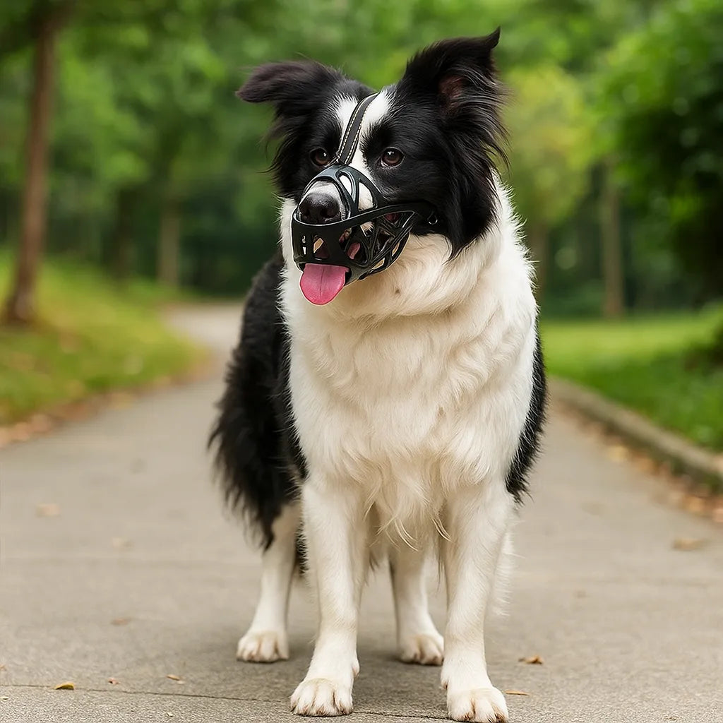 Hundemaulkorb | Atmungsaktiv & verstellbar für Training und den täglichen Gebrauch