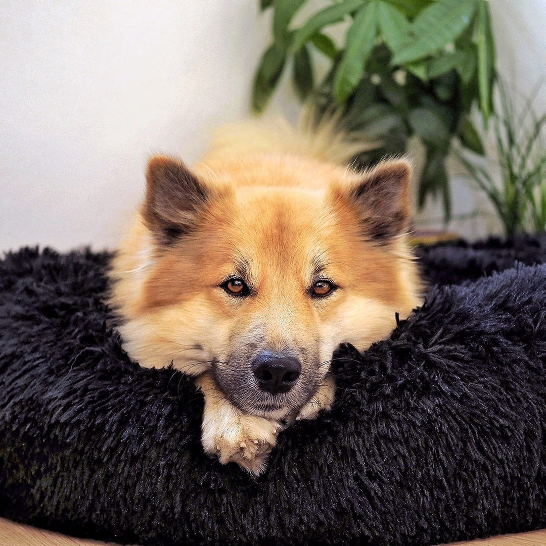 Fluffy Plus Hundebett – Das Original