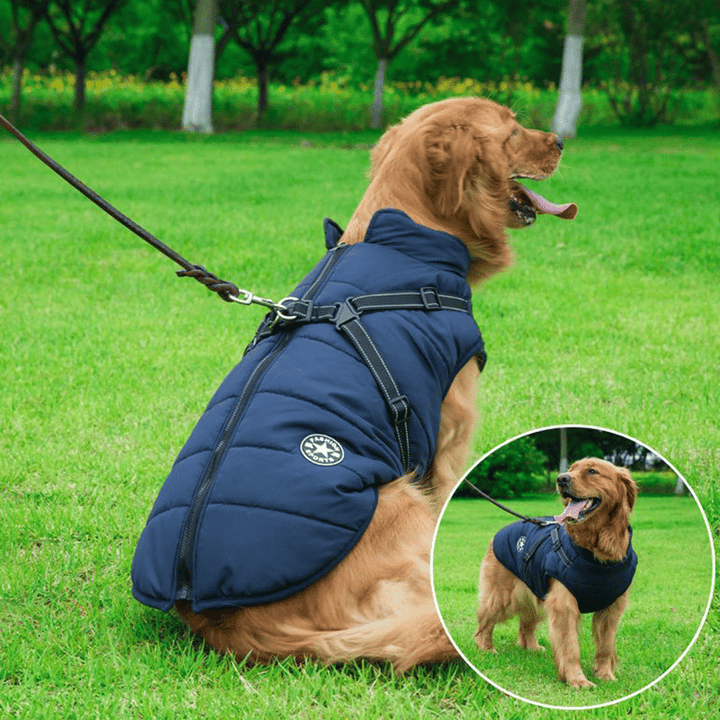 PupGuard - Winterjacke für Hunde mit Geschirr