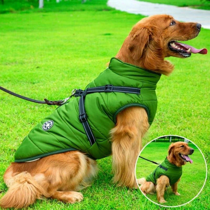 BuddyPro - Wasserdichte Hundejacke