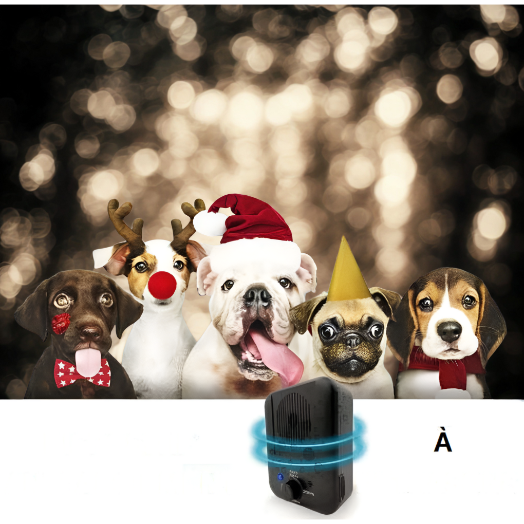 Ultraschall-Anti-Bell-Gerät für Hunde