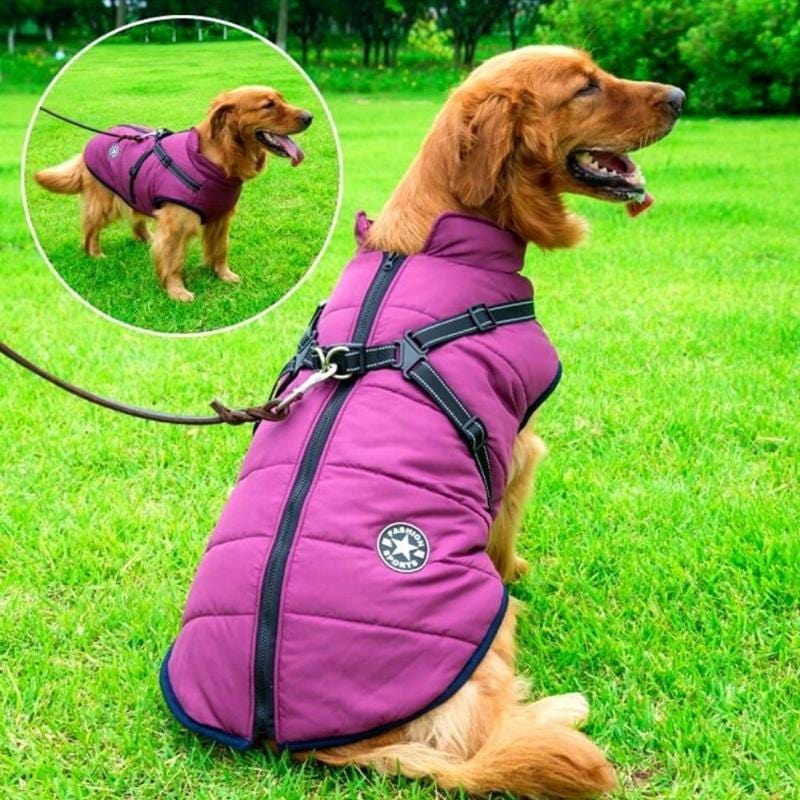 BuddyPro - Wasserdichte Hundejacke