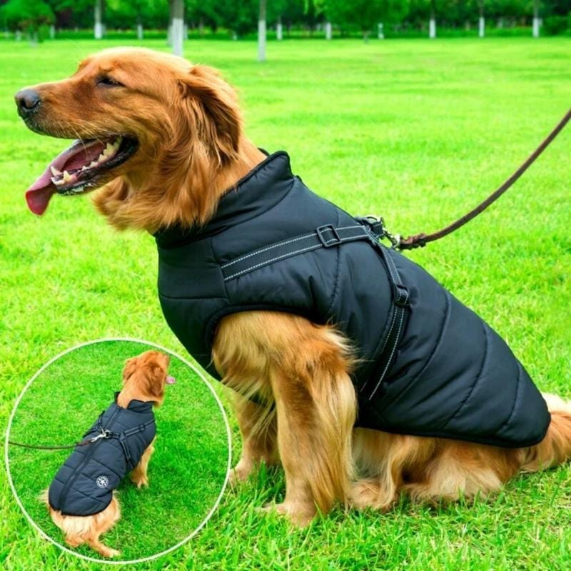 BuddyPro - Wasserdichte Hundejacke