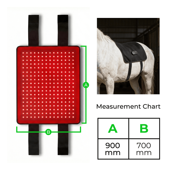 LED-Rotlichttherapie-Rückenwickel für Pferde