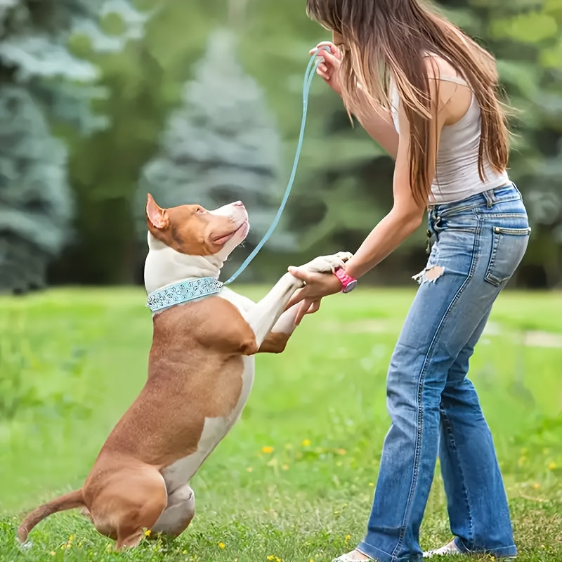 Verstellbares Hundehalsband mit Spikes - Robust und Sicher für Große Hunde