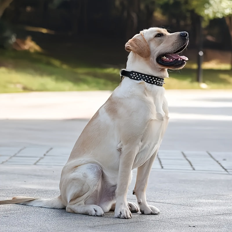 Verstellbares Hundehalsband mit Spikes - Robust und Sicher für Große Hunde