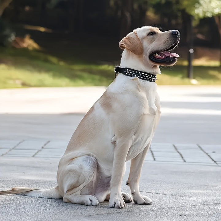 Verstellbares Hundehalsband mit Spikes - Robust und Sicher für Große Hunde