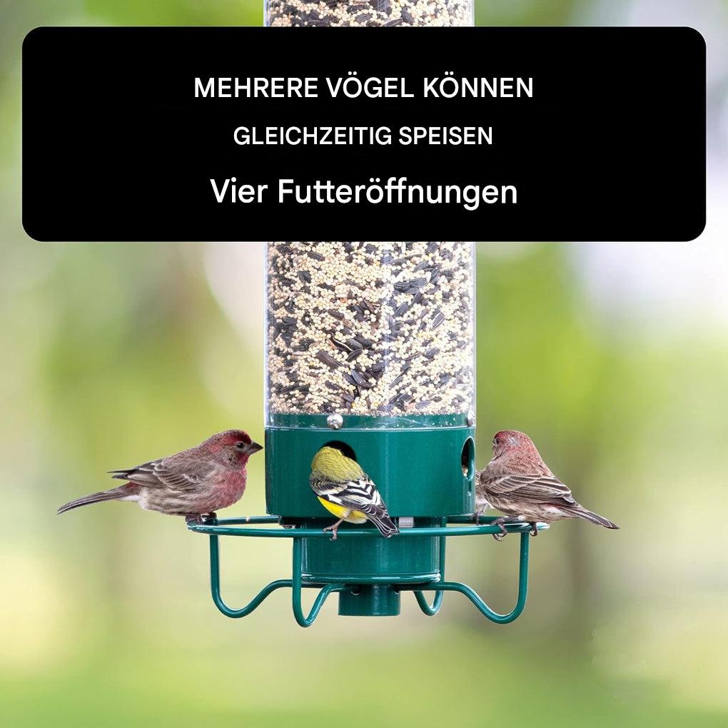 Eichhörnchen-sichere Vogelfutterstelle