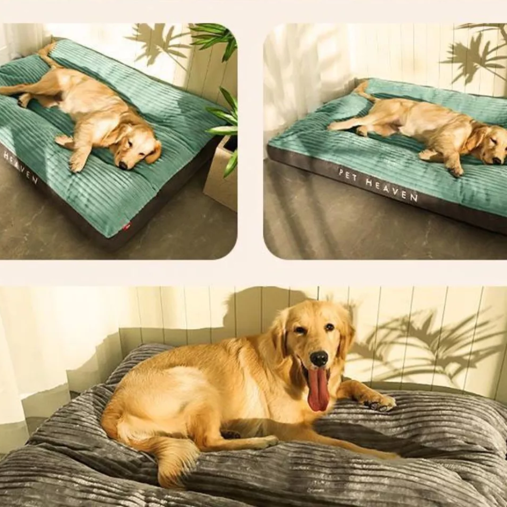 Hundekissen zum Ausruhen und Entspannen