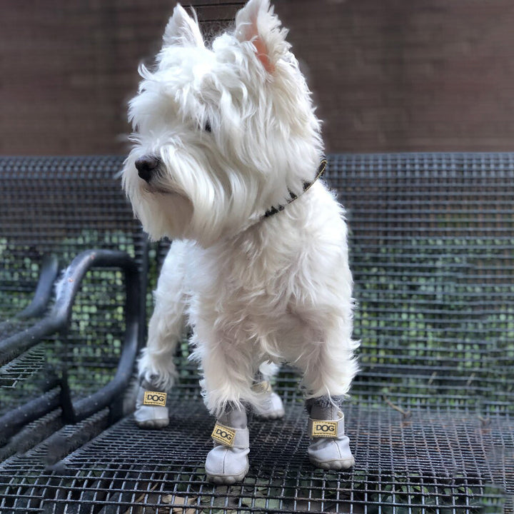 Warme Schneestiefel für Hunde - SnowPaws