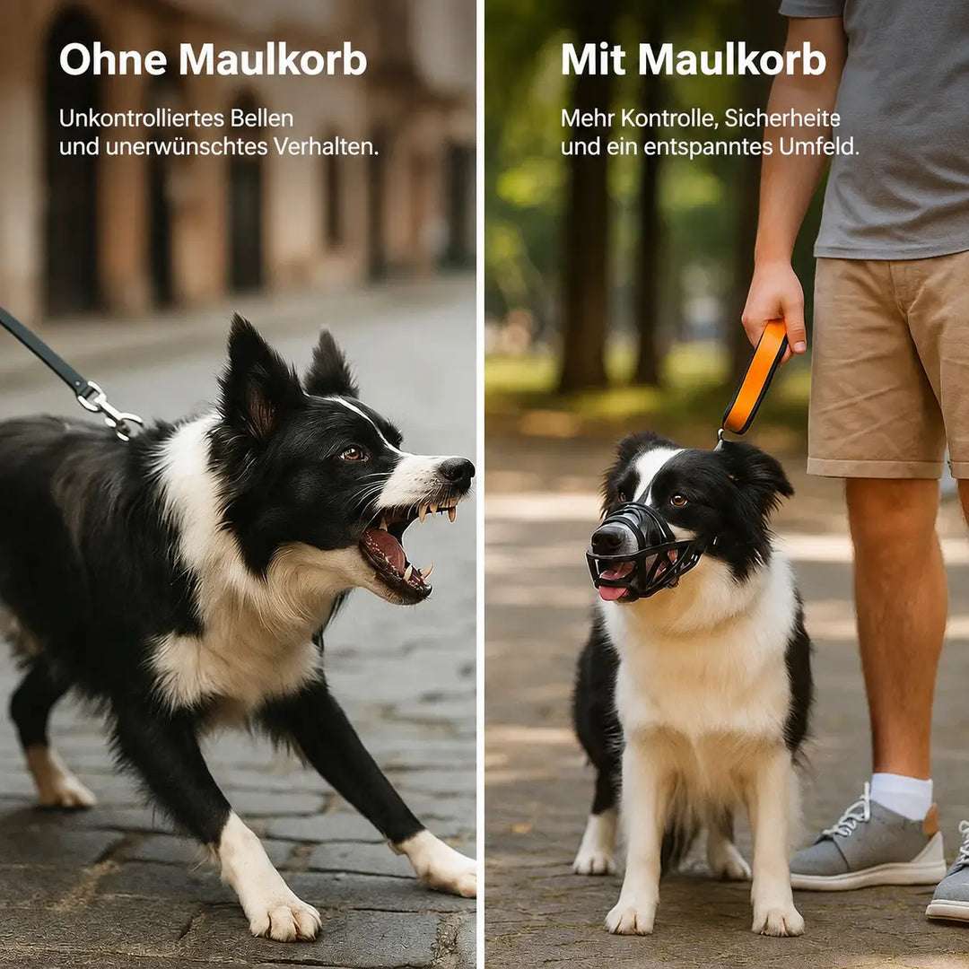 Hundemaulkorb | Atmungsaktiv & verstellbar für Training und den täglichen Gebrauch