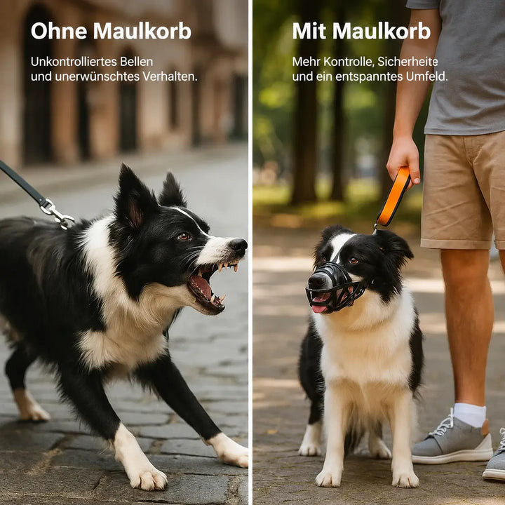 Hundemaulkorb | Atmungsaktiv & verstellbar für Training und den täglichen Gebrauch