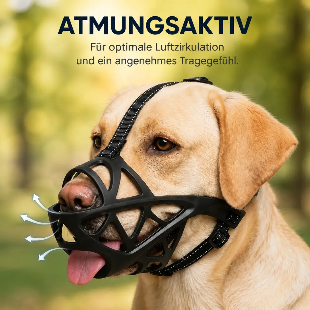 Hundemaulkorb | Atmungsaktiv & verstellbar für Training und den täglichen Gebrauch