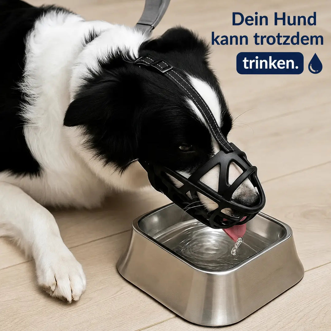 Hundemaulkorb | Atmungsaktiv & verstellbar für Training und den täglichen Gebrauch