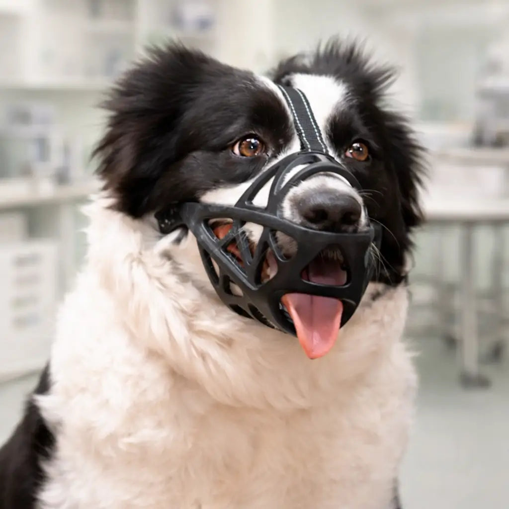 Hundemaulkorb | Atmungsaktiv & verstellbar für Training und den täglichen Gebrauch