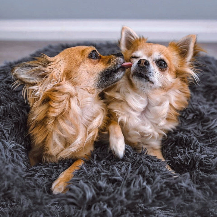 Fluffy Plus Hundebett – Das Original