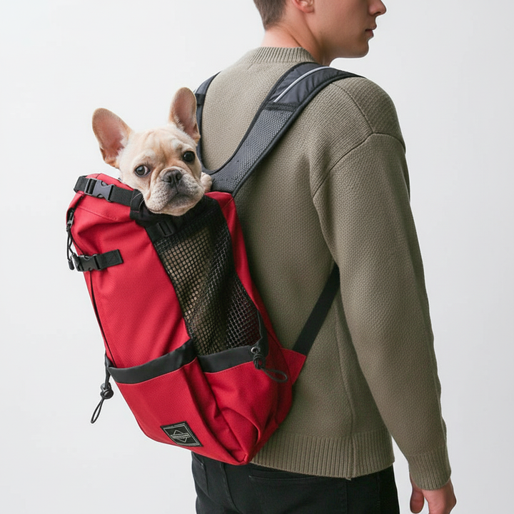 Ergonomischer Hunde-Tragerucksack - CompanionPack