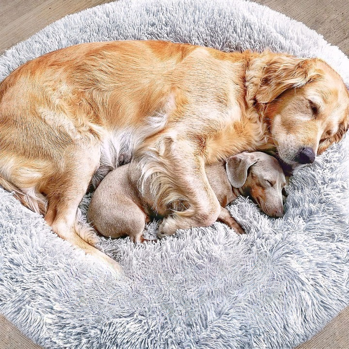 Fluffy Plus Hundebett – Das Original