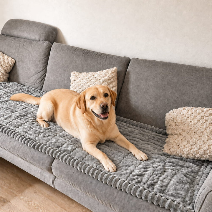 Brittany Sofaschoner — wasserabweisende Decke für Hunde und Katzen