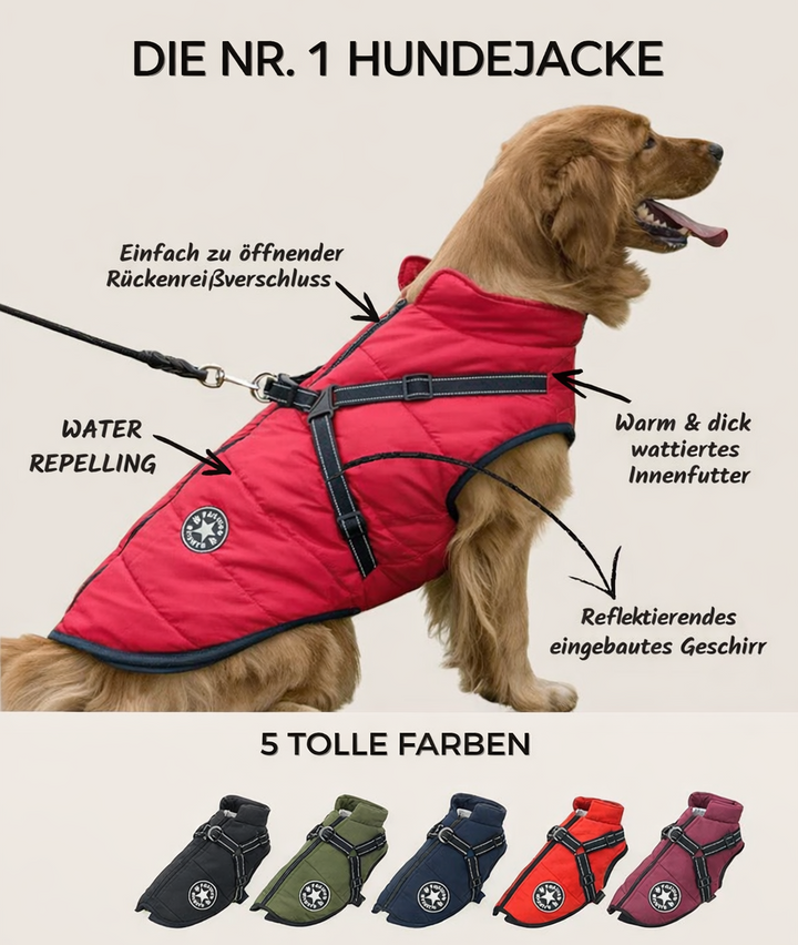 Hundejacke mit integriertem Geschirr, winddicht und wasserabweisend, reflektierend