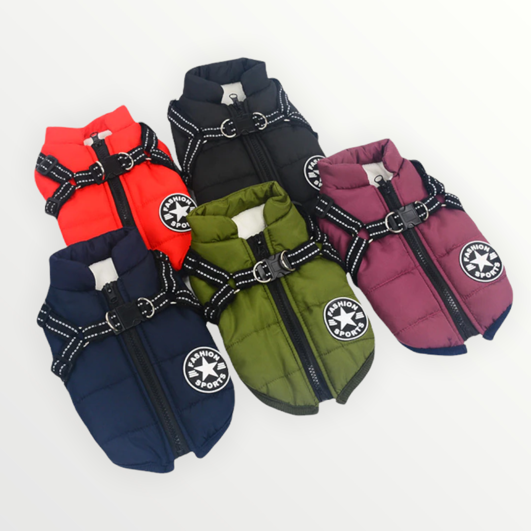 Hundejacke mit integriertem Geschirr, winddicht und wasserabweisend, reflektierend