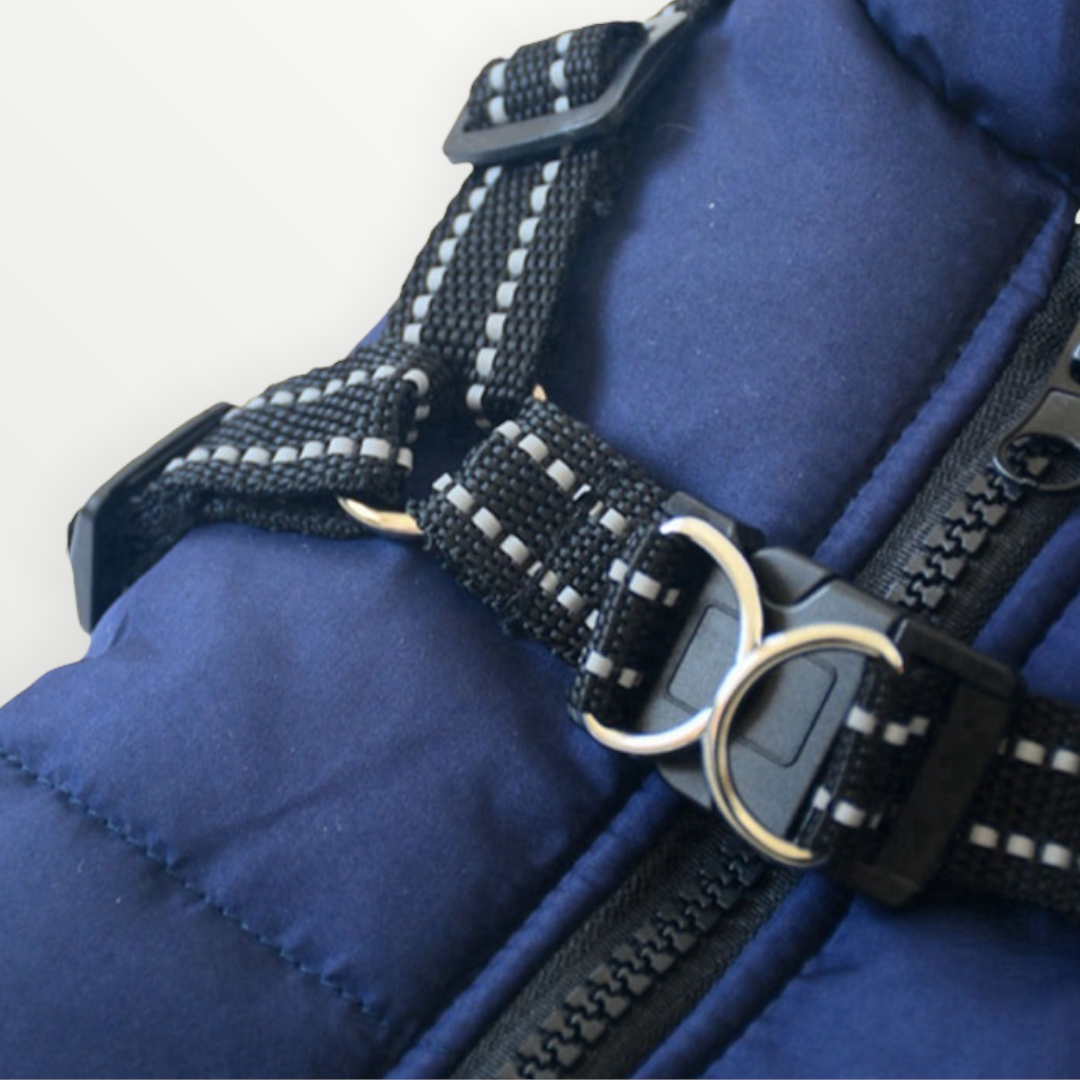 Hundejacke mit integriertem Geschirr, winddicht und wasserabweisend, reflektierend