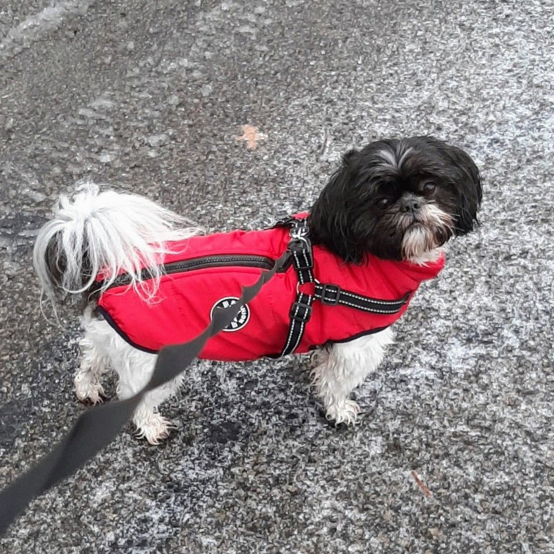 Hundejacke mit integriertem Geschirr, winddicht und wasserabweisend, reflektierend