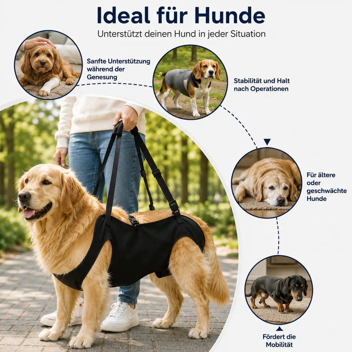 Hundehubgeschirr | Tragegurt für grosse Hunde | Alltägliche Mobilitätshilfe