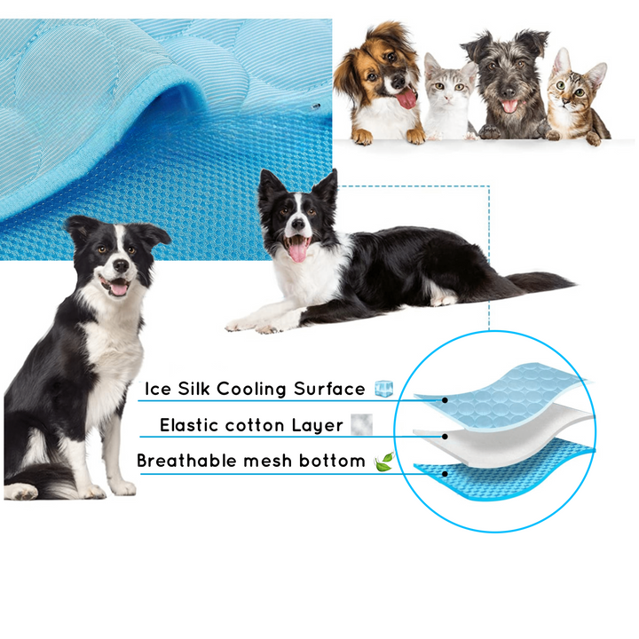 Kühlende Hundematte - CoolPet Mat