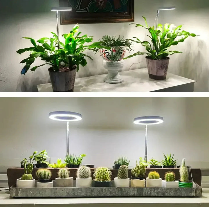 Vollspektrum-LED-Pflanzenlampe mit Timer- und Dimmfunktion