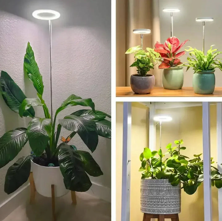 Vollspektrum-LED-Pflanzenlampe mit Timer- und Dimmfunktion