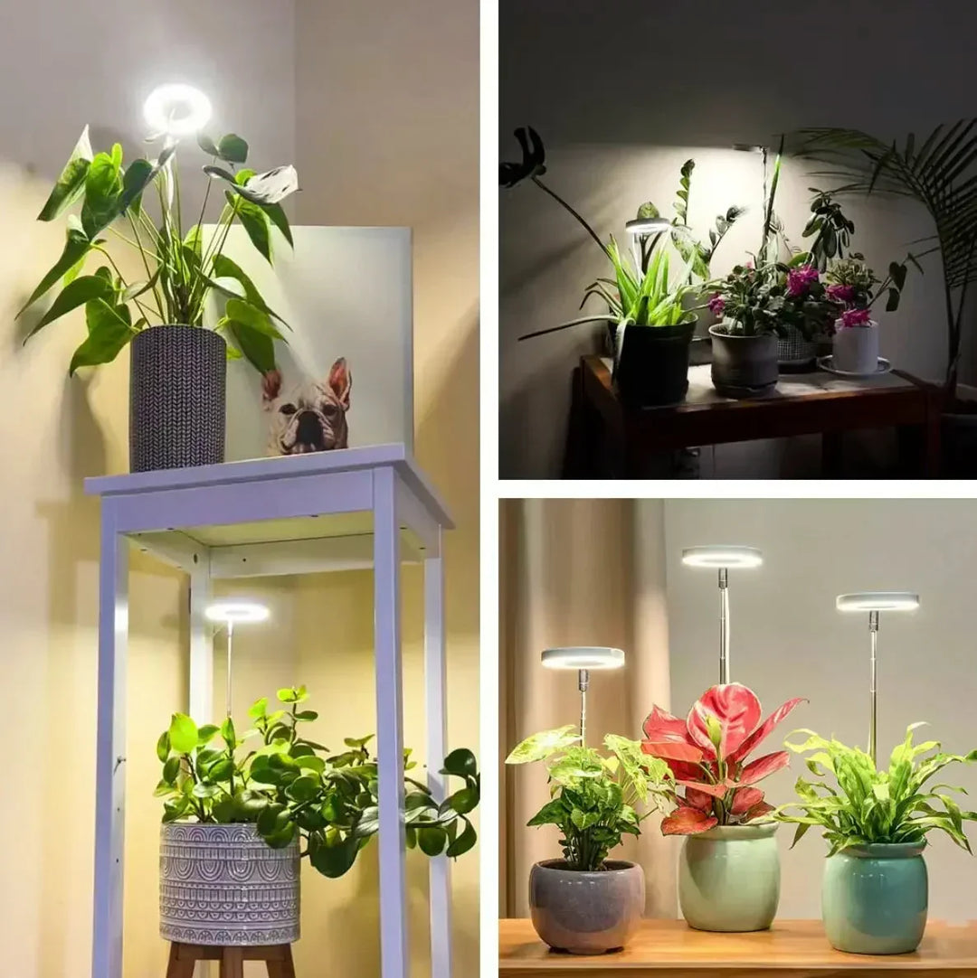 Vollspektrum-LED-Pflanzenlampe mit Timer- und Dimmfunktion
