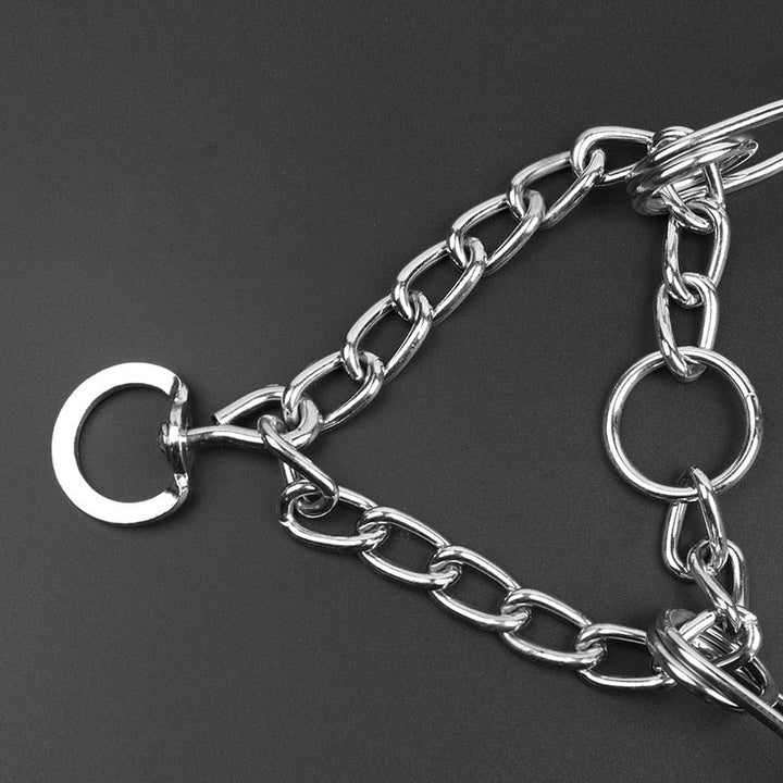 Zangenhalsband für Hunde - Modell B