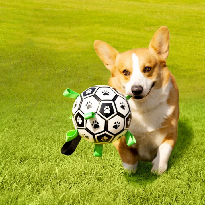 Robuster Hundefußball mit Griffen – TugBounce