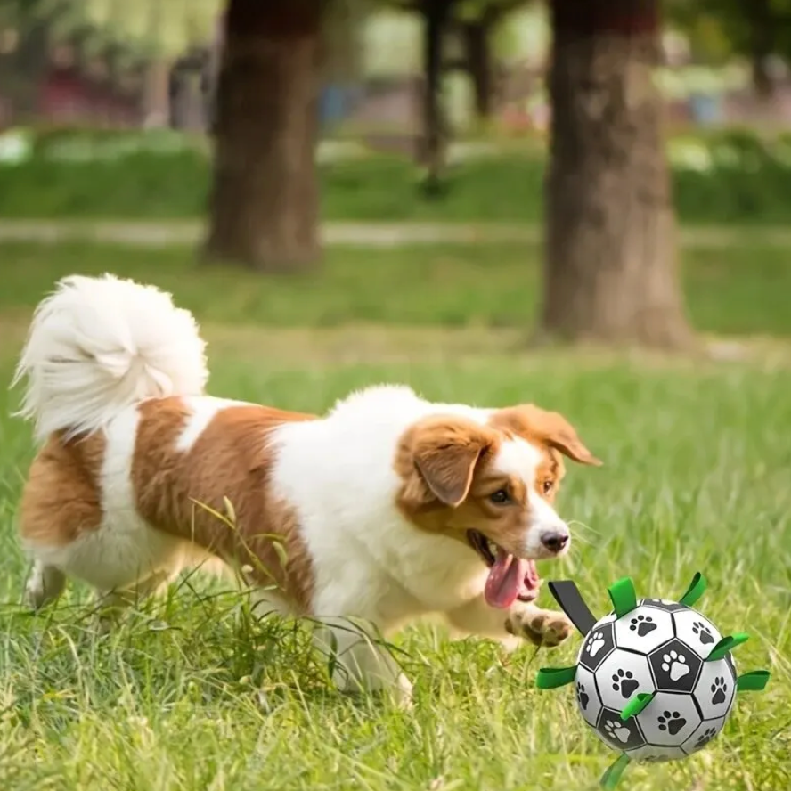 Robuster Hundefußball mit Griffen – TugBounce