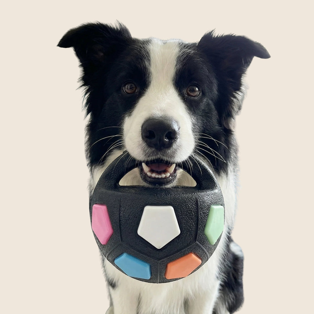 Unzerstörbarer Hundeball für starke Kauer