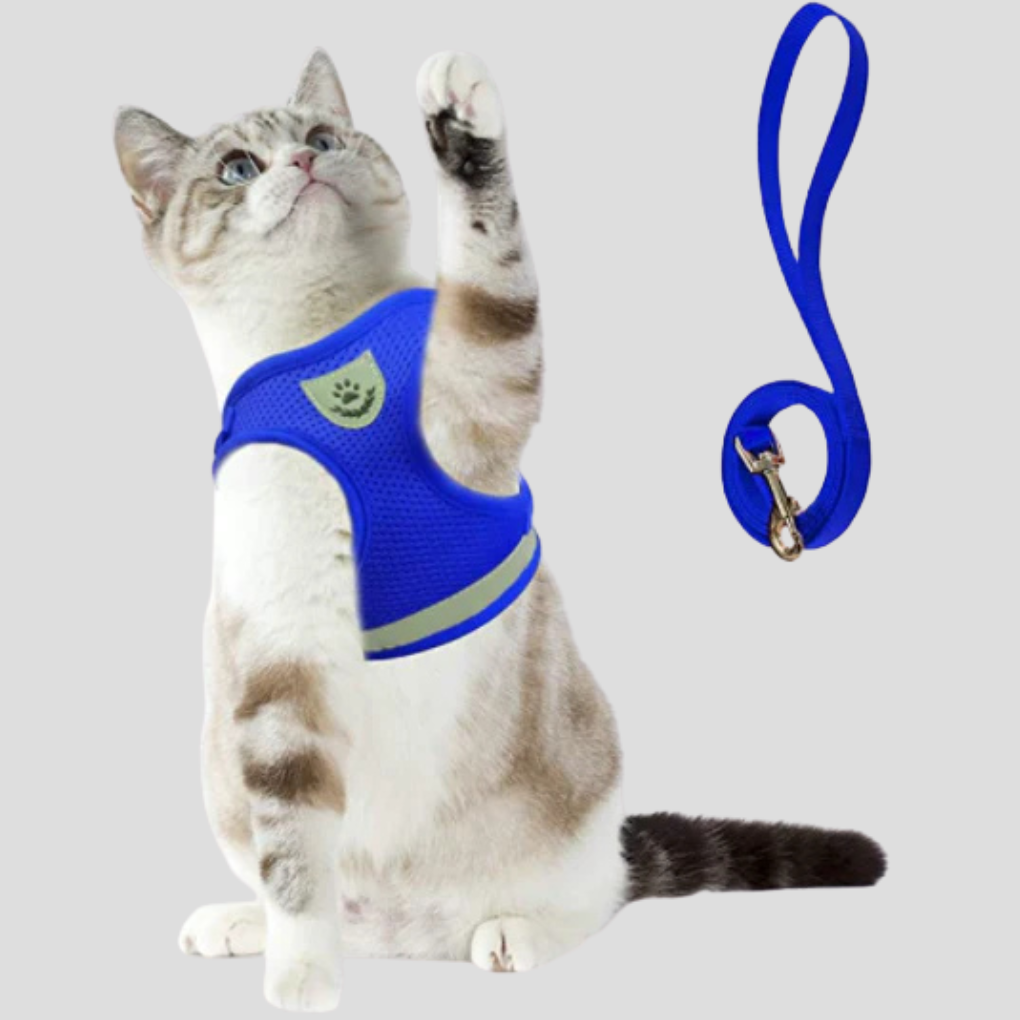 Katzenharness mit Leine