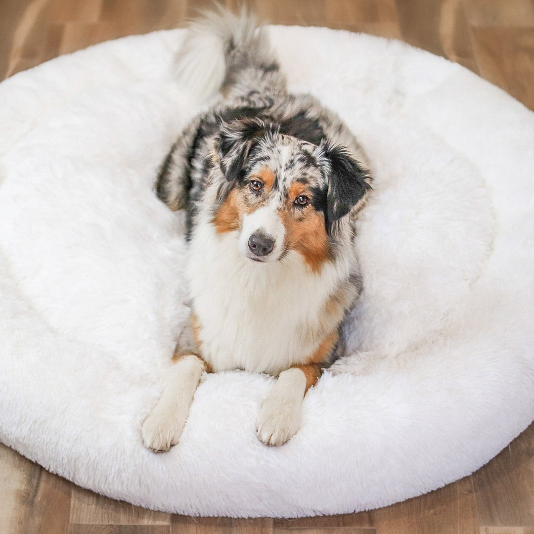 Fluffy Plus Hundebett – Das Original