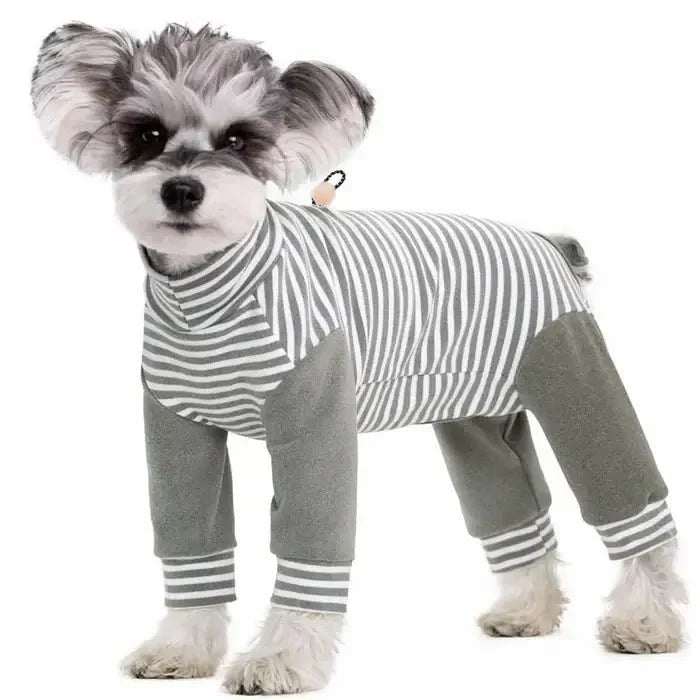 Anti-Leck • Genesungsanzug für Hunde