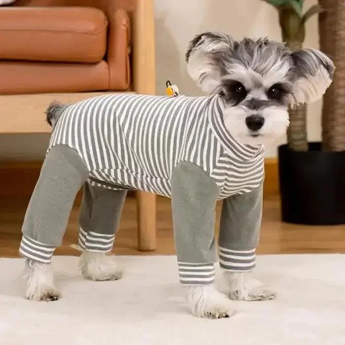 Anti-Leck • Genesungsanzug für Hunde