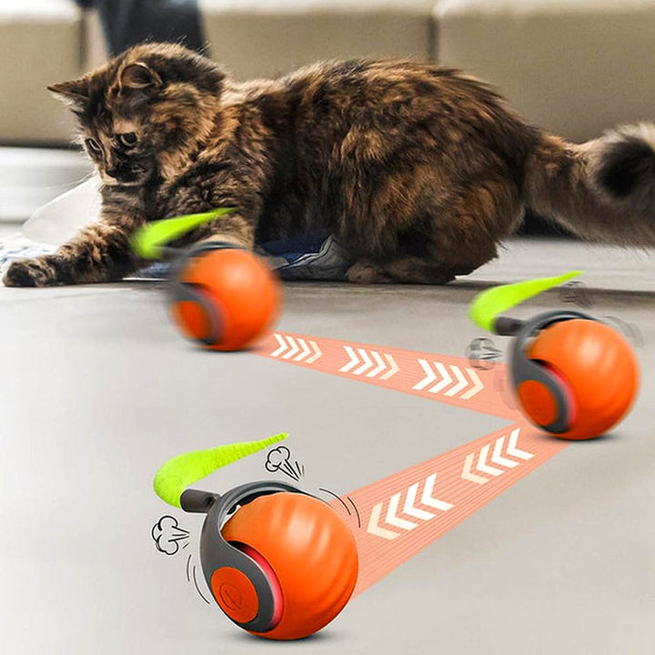 Interaktives Katzenspielzeug