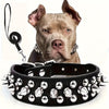 Verstellbares Hundehalsband mit Spikes - Robust und Sicher für Große Hunde