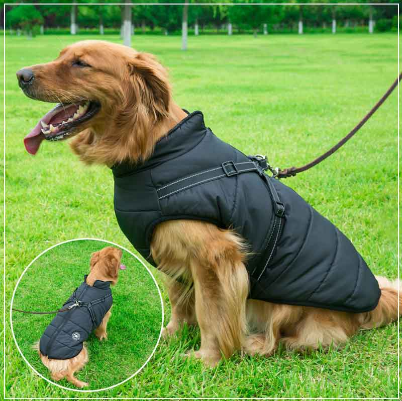 PupGuard - Winterjacke für Hunde mit Geschirr