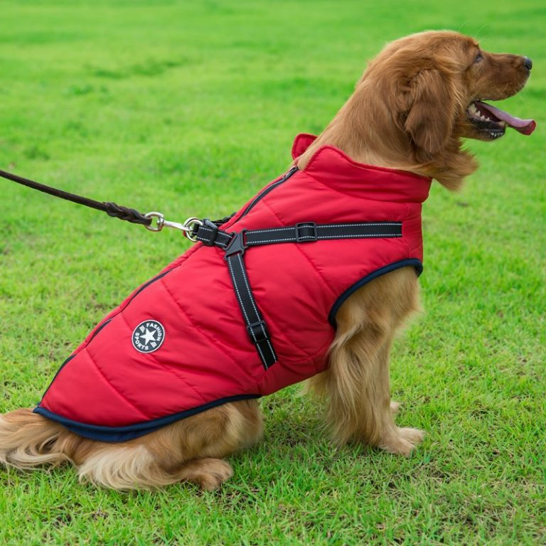 PupGuard - Winterjacke für Hunde mit Geschirr