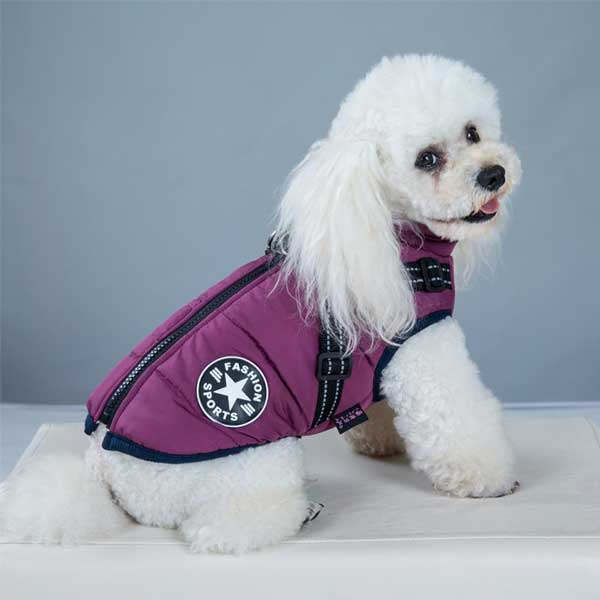 PupGuard - Winterjacke für Hunde mit Geschirr
