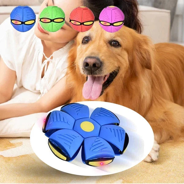 Hundespielzeug | Unzerstörbares 2-in-1-Hundespielzeug | FlitzDisc