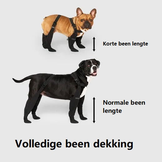 Sichere Outdoor-Abenteuerstiefel – PawShield