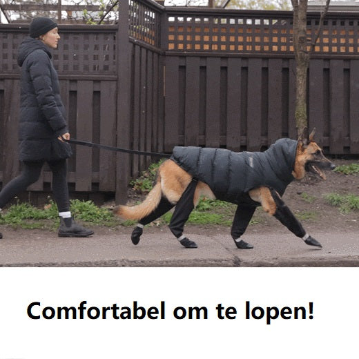 Sichere Outdoor-Abenteuerstiefel – PawShield