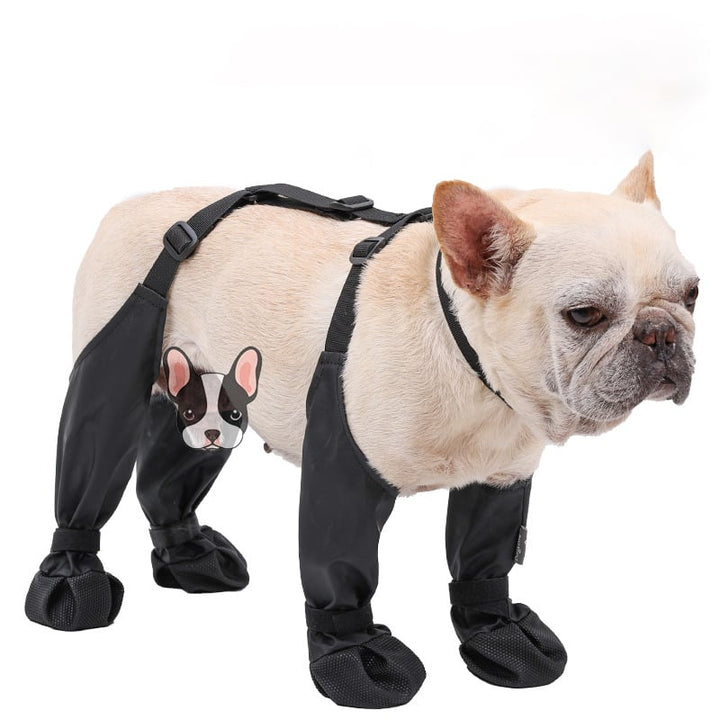 Sichere Outdoor-Abenteuerstiefel – PawShield