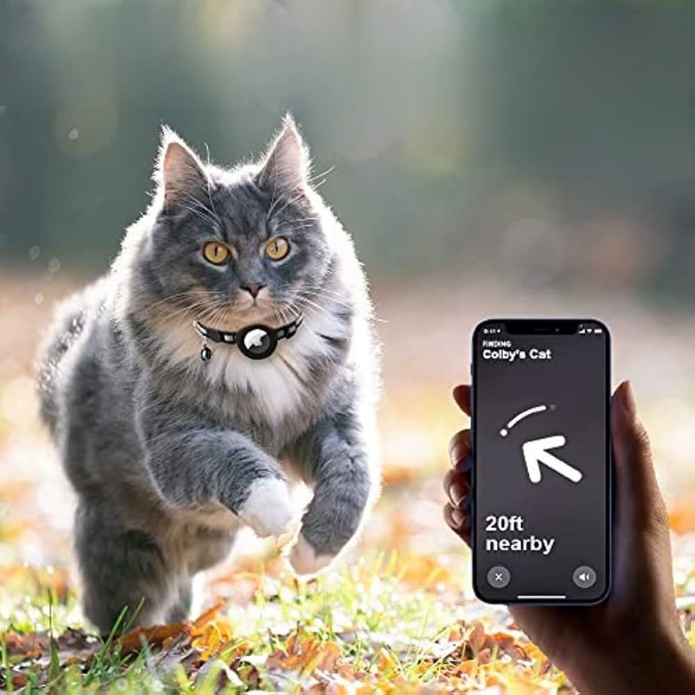 Katzenhalsband mit GPS und Reflexstreifen, Verstellbar